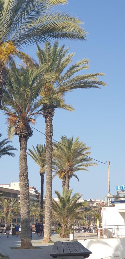 Costa Blanka resident apartman Torrevieja Exteriör bild